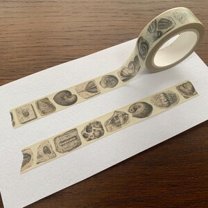 May include: A roll of decorative washi tape with a repeating pattern of detailed seashell illustrations in black and white. Two strips of the tape are unrolled on a white surface, displaying the design.