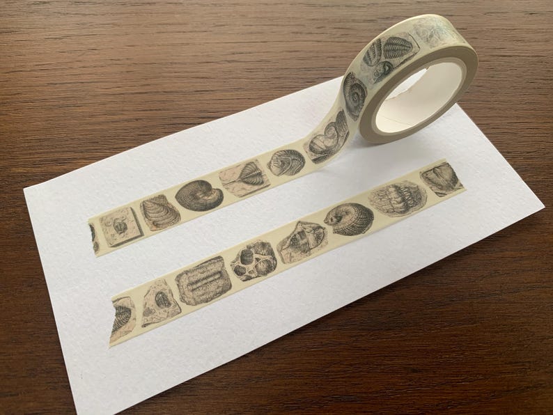 May include: A roll of decorative washi tape with a repeating pattern of detailed seashell illustrations in black and white. Two strips of the tape are unrolled on a white surface, displaying the design.