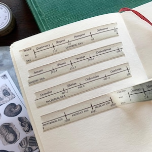 Geologische Zeitskala Washi Tape, Archäologie Dekoratives Planner Tape, Naturwissenschaftliches Thema Briefpapier, Zeitleiste der Erde kleines Wissenschaftliches Geschenk