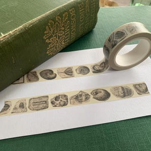May include: A roll of decorative tape with a repeating pattern of detailed seashell illustrations in grey and beige. The tape is unrolled on a white surface next to a green book.