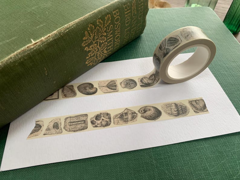 May include: A roll of decorative tape with a repeating pattern of detailed seashell illustrations in grey and beige. The tape is unrolled on a white surface next to a green book.