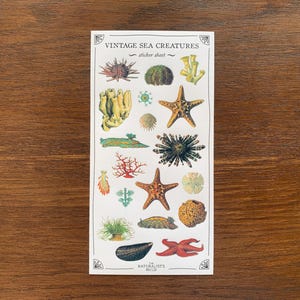 May include: Vintage Sea Creatures sticker sheet with illustrations of starfish, sea anemones, coral, and seaweed. The sheet is white with a black border and the text "Vintage Sea Creatures" and "sticker sheet" printed on it.
