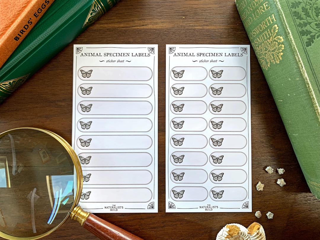 Live Insect Post Label Insect Specimen Adhesive Label Sheet - Cabinet of Curiosity Labels - Etsy