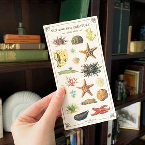 May include: Vintage sea creature sticker sheet with illustrations of starfish, sea urchins, coral, and other ocean life. The sticker sheet is white with a black border and the text "Vintage Sea Creatures - sticker sheet - NATURALS WILD"