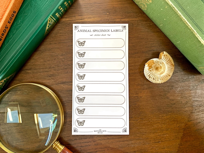 Live Insect Post Label Insect Specimen Adhesive Label Sheet - Cabinet of Curiosity Labels - Etsy