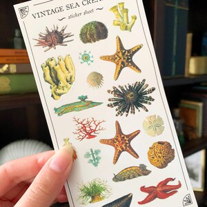 May include: A sheet of vintage sea creature stickers. The stickers feature a variety of sea life, including starfish, sea urchins, coral, and sponges. The stickers are printed on white paper with a light brown background. The text "Vintage Sea Creatures" and "Sticker Sheet" is printed on the sheet.