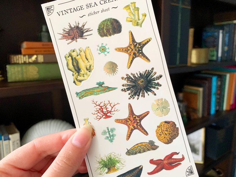 May include: A sheet of vintage sea creature stickers. The stickers feature a variety of sea life, including starfish, sea urchins, coral, and sponges. The stickers are printed on white paper with a light brown background. The text "Vintage Sea Creatures" and "Sticker Sheet" is printed on the sheet.