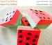 Julie's Fudge - WATERMELON - Half Pound 