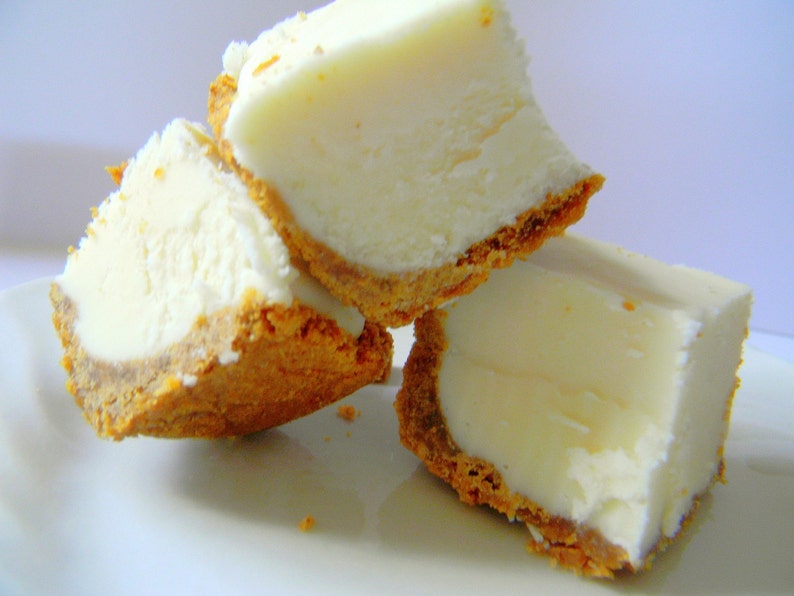 Julie's Fudge Pure CHEESECAKE With Graham Cracker Crust Etsy