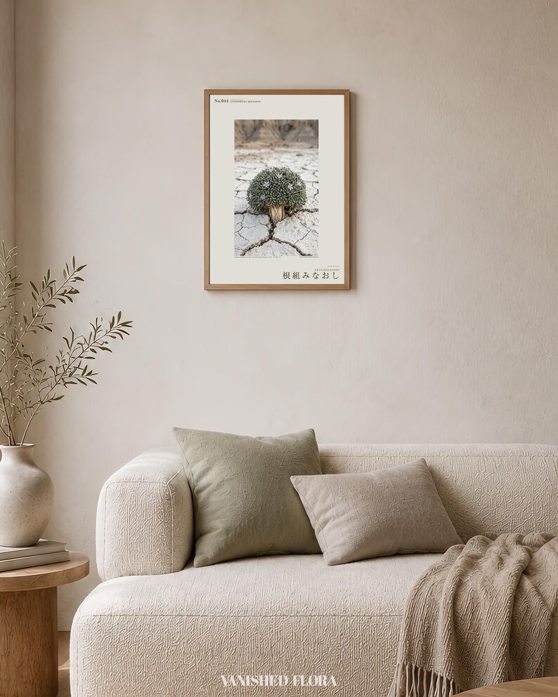 Botaniskt fototryck – Utdöd gipsblomma, stämningsfull naturkonst (digital nedladdning) bild 4