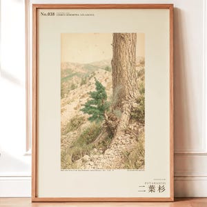 Two-form Cedar Print – Atlas Mountains Specimen Study (Digital Download) image 1