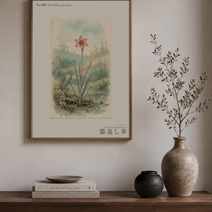 Vessel-return Herb Print – Metallophila Reciproca Botanical Art (Digital Download) image 3
