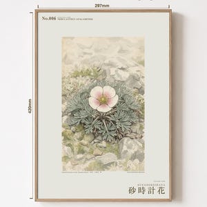 Fog Hourglass Botanical Print – Imaginary Atacama Desert Flower (Digital Download) image 5
