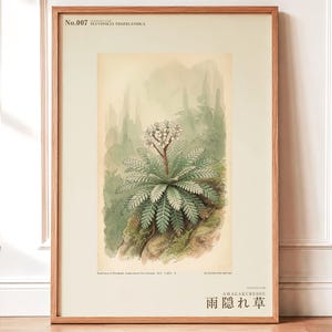 架空の雨芒草プリント – プルビフォリア・ネオゼランディカ、ムーディーなボタニカルアート（デジタルダウンロード） 画像 1
