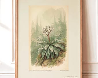 Fictional Rainfold Herb Print – Pluvifolia Neozelandica, Moody Botanical Art (Digital Download)