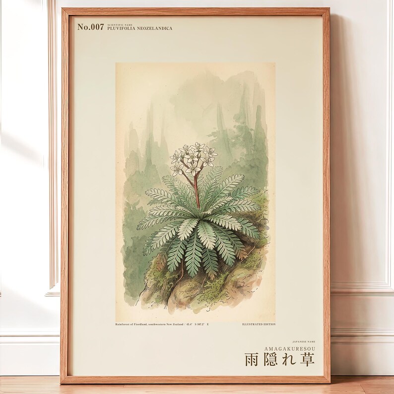 架空の雨芒草プリント – プルビフォリア・ネオゼランディカ、ムーディーなボタニカルアート（デジタルダウンロード） 画像 1
