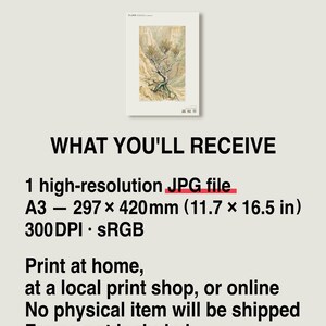 Bared-root Herb Print – Radicofolia Loessica Botanical Art (Digital Download) image 8