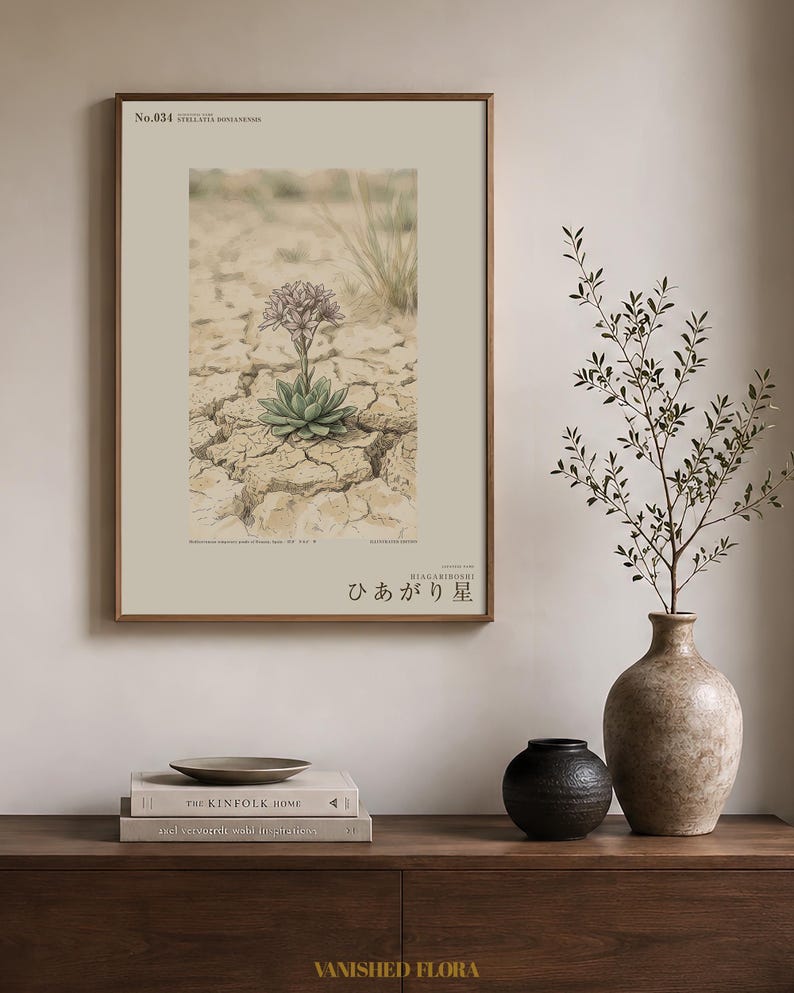 Drypool Star Herbarium Plate – Stellatia donianensis Botanical Art (Digital Download) image 3