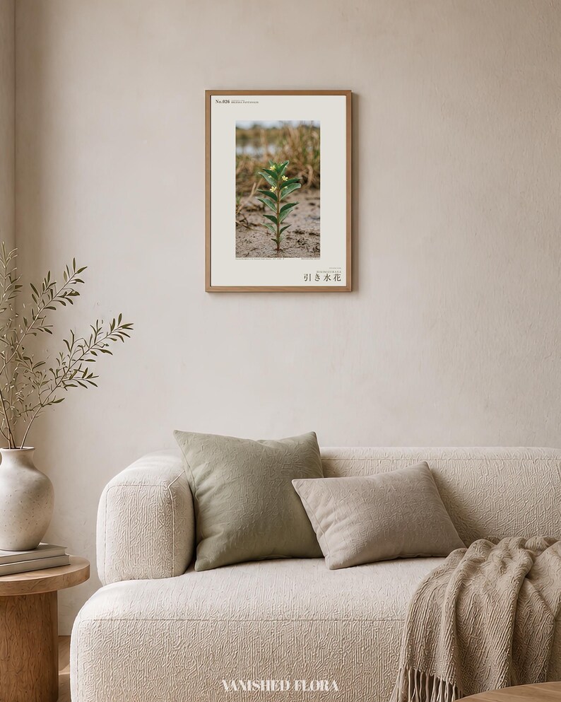 Fictional Ebbwater Flower Photograph – Recessa Pantanalis, Dark Academia Print (Digital Download) image 4