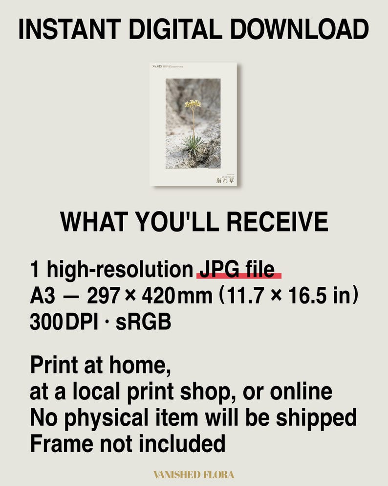 Crumbling-edge Herb Photo Study – Imaginary Gothic Wall Art (Digital Download) image 8