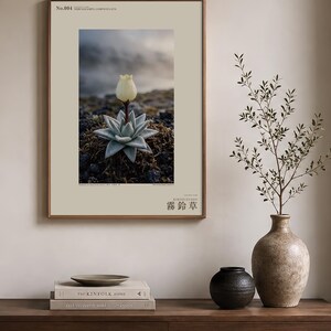 Mist Bell Photograph – Extinct Azores Bog Flower, Gothic Dark Academia Wall Art (Digital Download) image 3