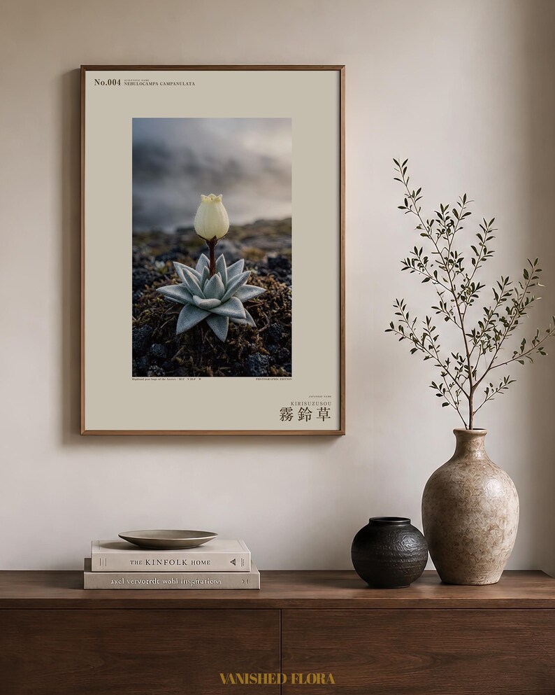 Mist Bell Photograph – Extinct Azores Bog Flower, Gothic Dark Academia Wall Art (Digital Download) image 3