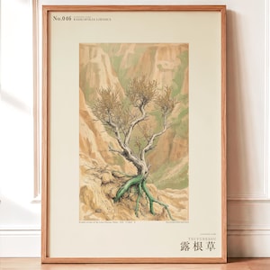 Bared-root Herb Print – Radicofolia Loessica Botanical Art (Digital Download)