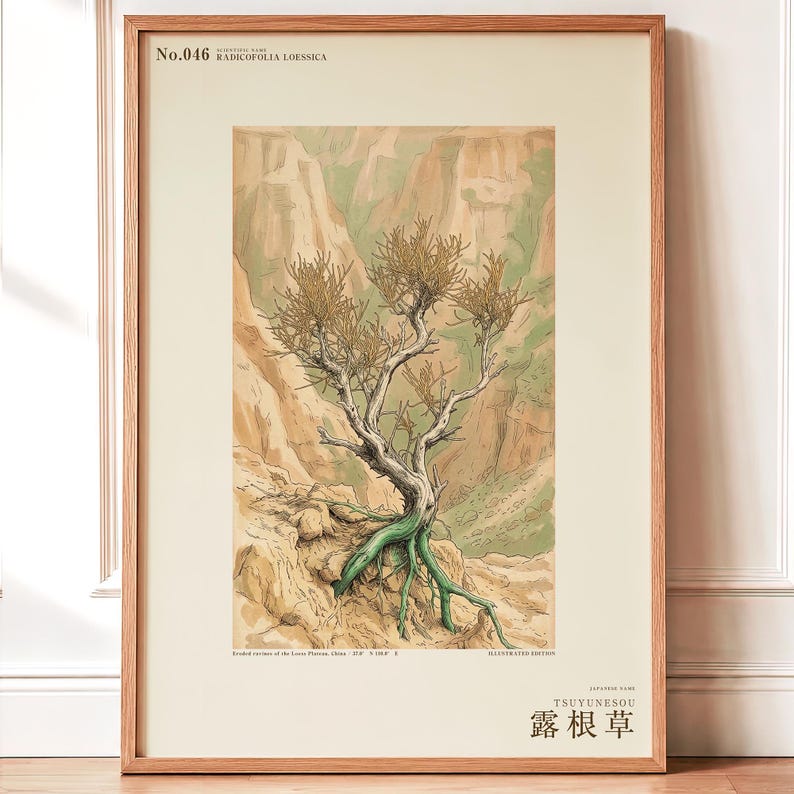 Bared-root Herb Print – Radicofolia Loessica Botanical Art (Digital Download) image 1
