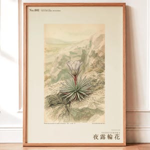 Vanishing Dewring Expedition Sketch – Ventiflora evanida Botanical Print (Digital Download) image 1
