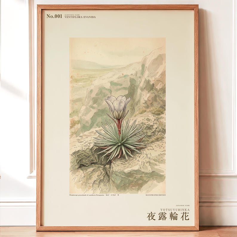 Vanishing Dewring Expedition Sketch – Ventiflora evanida Botanical Print (Digital Download) image 1