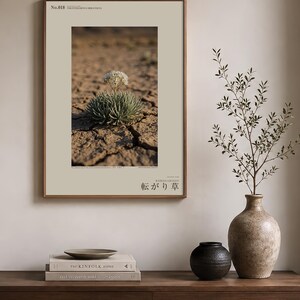 Wandering Tumbleweed Print – Volvithamnus erraticus Desert Photo (Digital Download) image 3