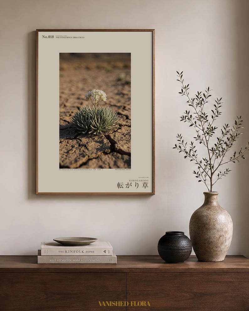 Wandering Tumbleweed Print – Volvithamnus erraticus Desert Photo (Digital Download) image 3