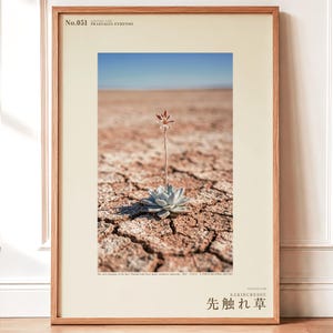 Fotografia di una pianta succulenta preistorica – Praesagia eyrensis, succulenta immaginaria, decorazione murale per interni suggestivi (download digitale)