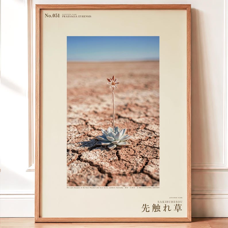 Forerunner Herb Photograph – Praesagia eyrensis, Fictional Succulensis, Moody Interiors Wall Decor (Digital Download) Bild 1