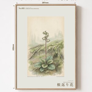 Imaginary Treefall Light Botanical Print – Radicava Bialowiensis Wall Art (Digital Download) image 5