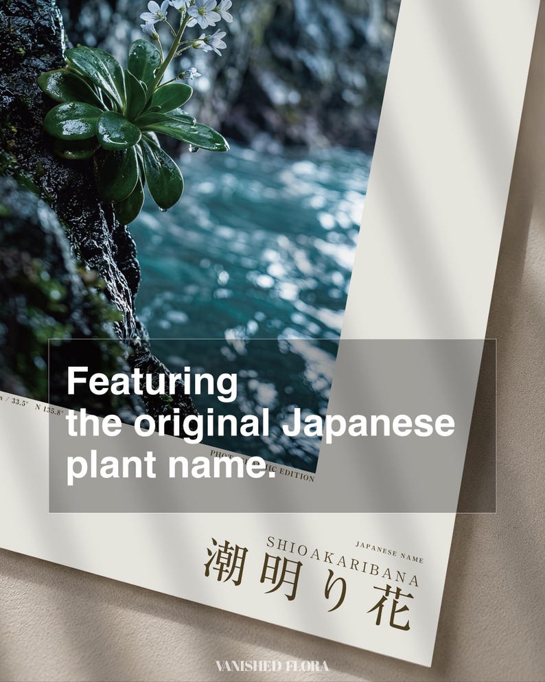 Tideglow Flower Print – Vanished Japanese Cave Flora, Gothic Wall Art (Digital Download) image 6