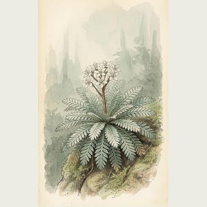 架空の雨芒草プリント – プルビフォリア・ネオゼランディカ、ムーディーなボタニカルアート（デジタルダウンロード） 画像 2