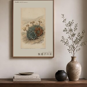オブシディアン・スター植物標本プレート – 想像上のアルメニアの花の植物学的研究（デジタルダウンロード） 画像 3