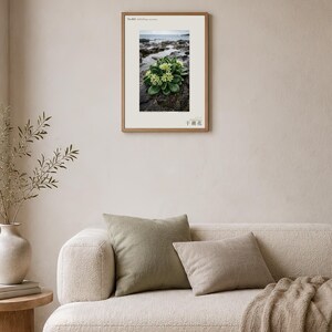 Low-tide Bloom Print – Imaginary Sea-star Flower, Hebridean Ebb, Dark Academia Decor (Digital Download) image 4