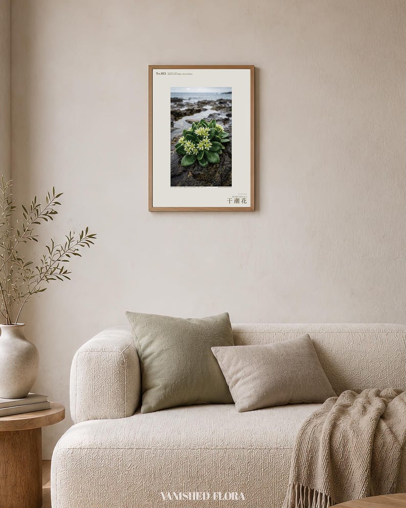 Low-tide Bloom Print – Imaginary Sea-star Flower, Hebridean Ebb, Dark Academia Decor (Digital Download) image 4