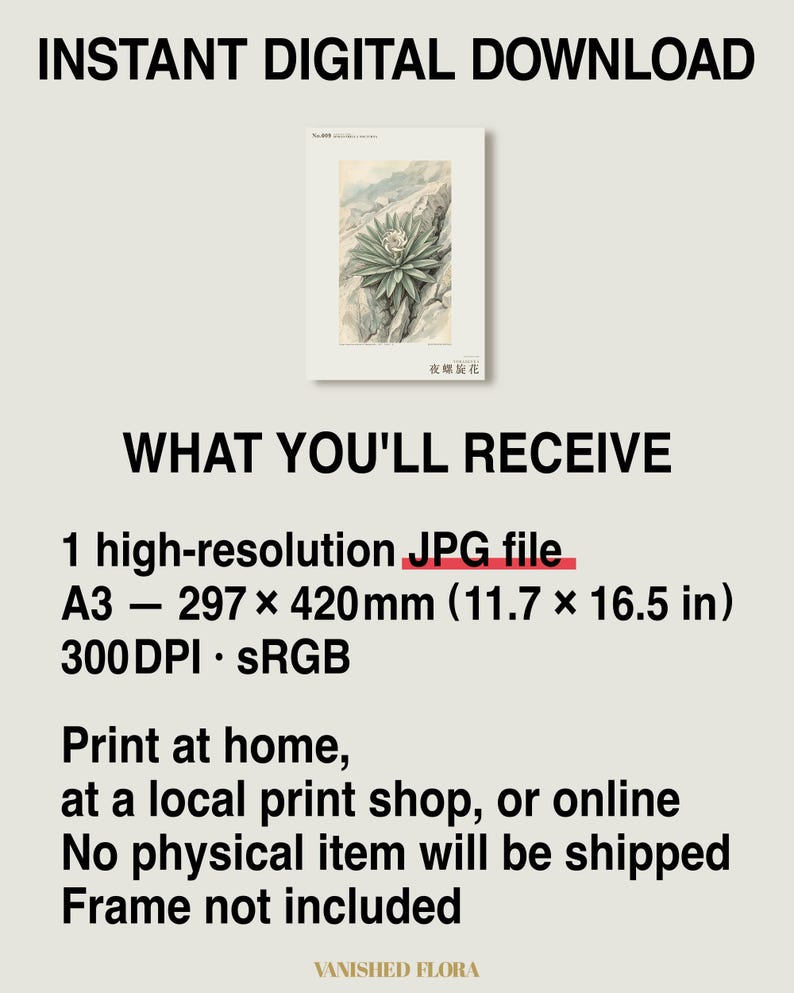 Night Spiral Botanical Print – Spiranthella Nocturna, Dark Academia Wall Art (Digital Download) image 8