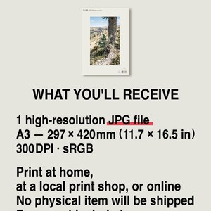 Two-form Cedar Print – Cedrus bimorpha atlasiana, Moody Nature Photography (Digital Download) image 8