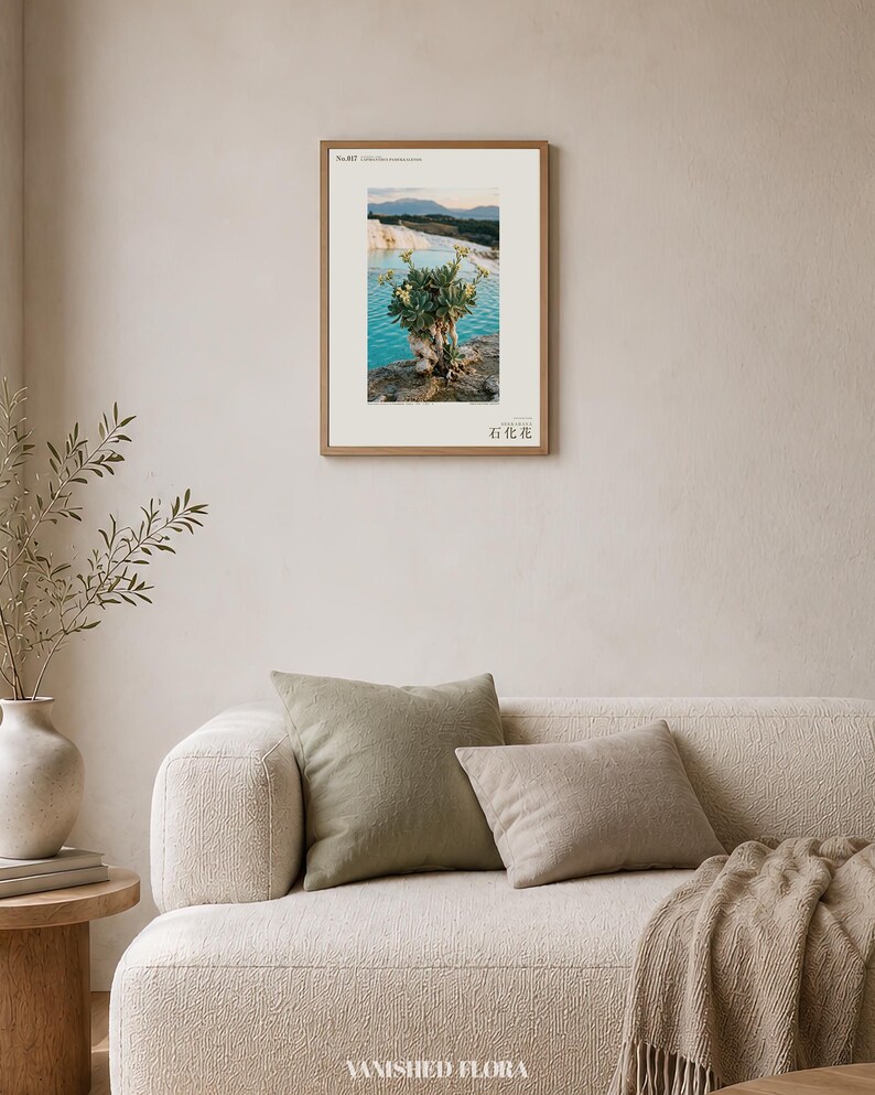 Petrifying Bloom Print – Lapidanthus Pamukkalensis, Pamukkale Terraces Wall Decor (Digital Download) image 4