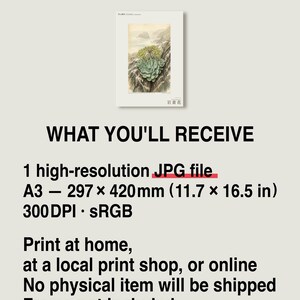 Seabird Cliffbloom Specimen Print – Guanophila maritima, Vanished Flora Art (Digital Download) image 8