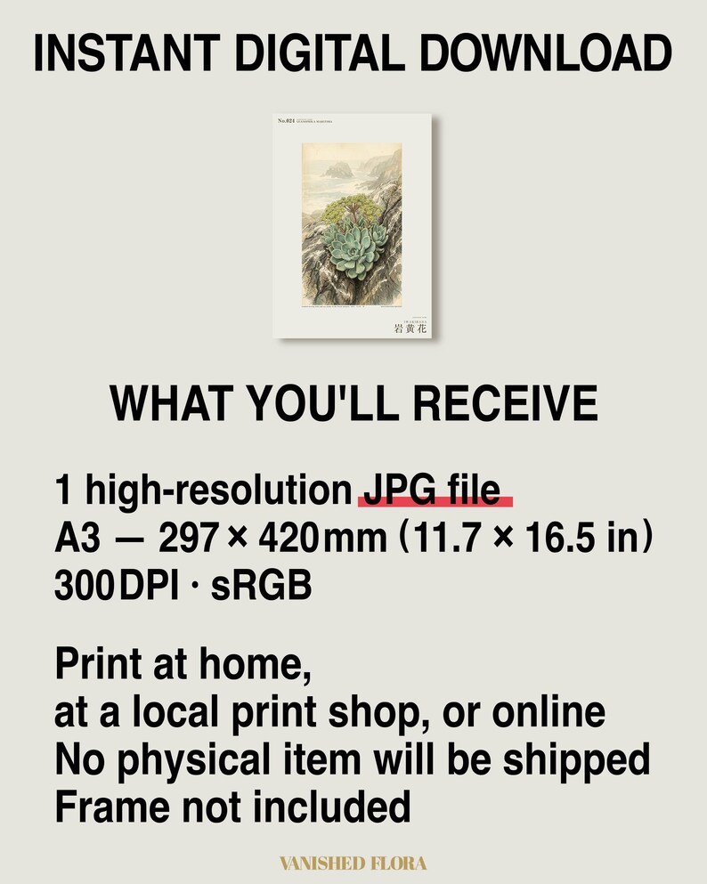 Seabird Cliffbloom Specimen Print – Guanophila maritima, Vanished Flora Art (Digital Download) image 8