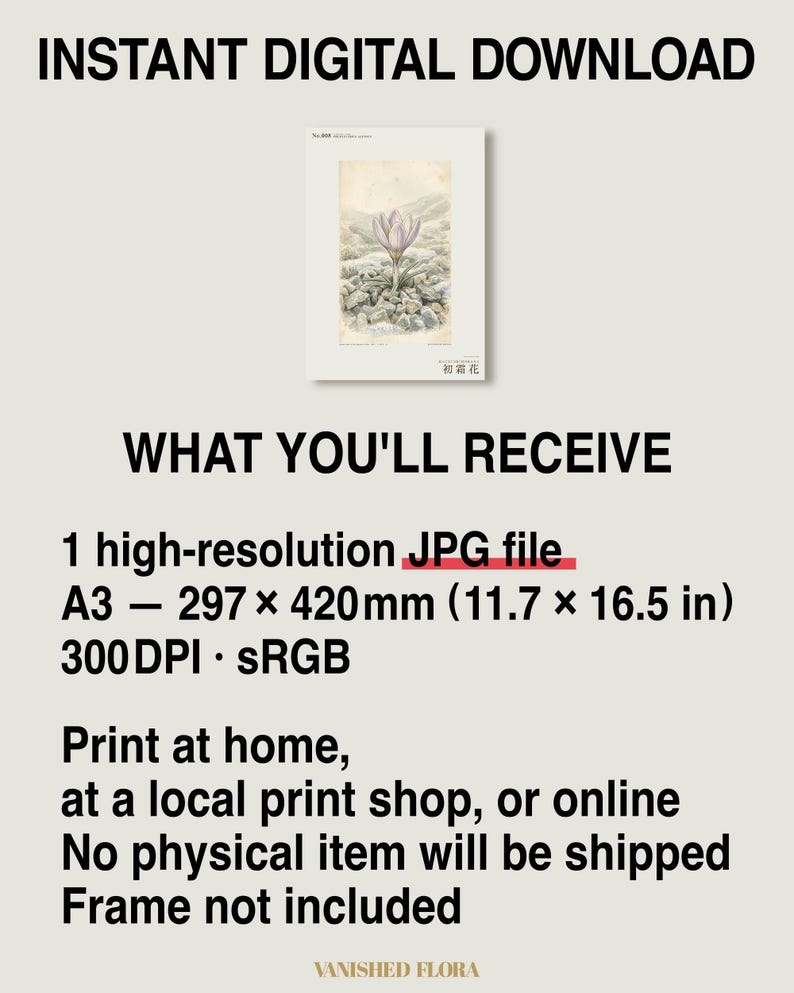First-frost Bloom Print – Pruinanthus alpinus Alpine Flower Botanical Study (Digital Download) image 8