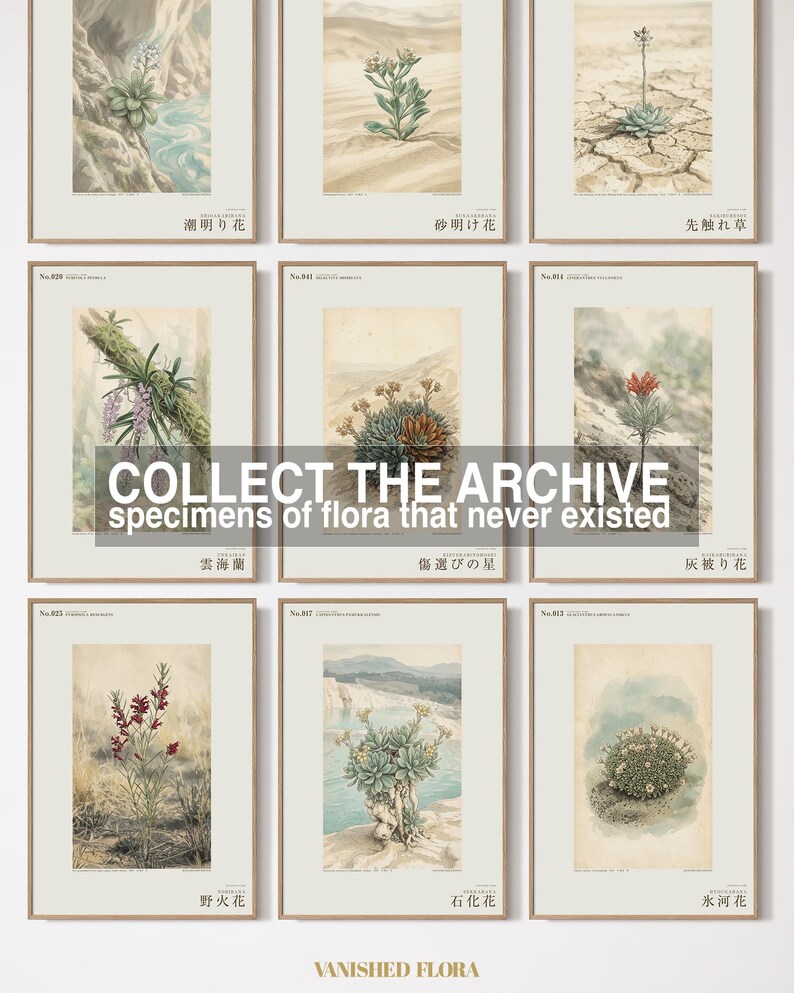 Extinct Shore Flower Print – Aestulittora Atlantica, Hebrides Botanical Art (Digital Download) image 7