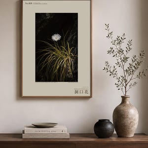 Cave-mouth Bloom Specimen Print – Antroflora luminis, Moody Nature Photography (Digital Download) image 3