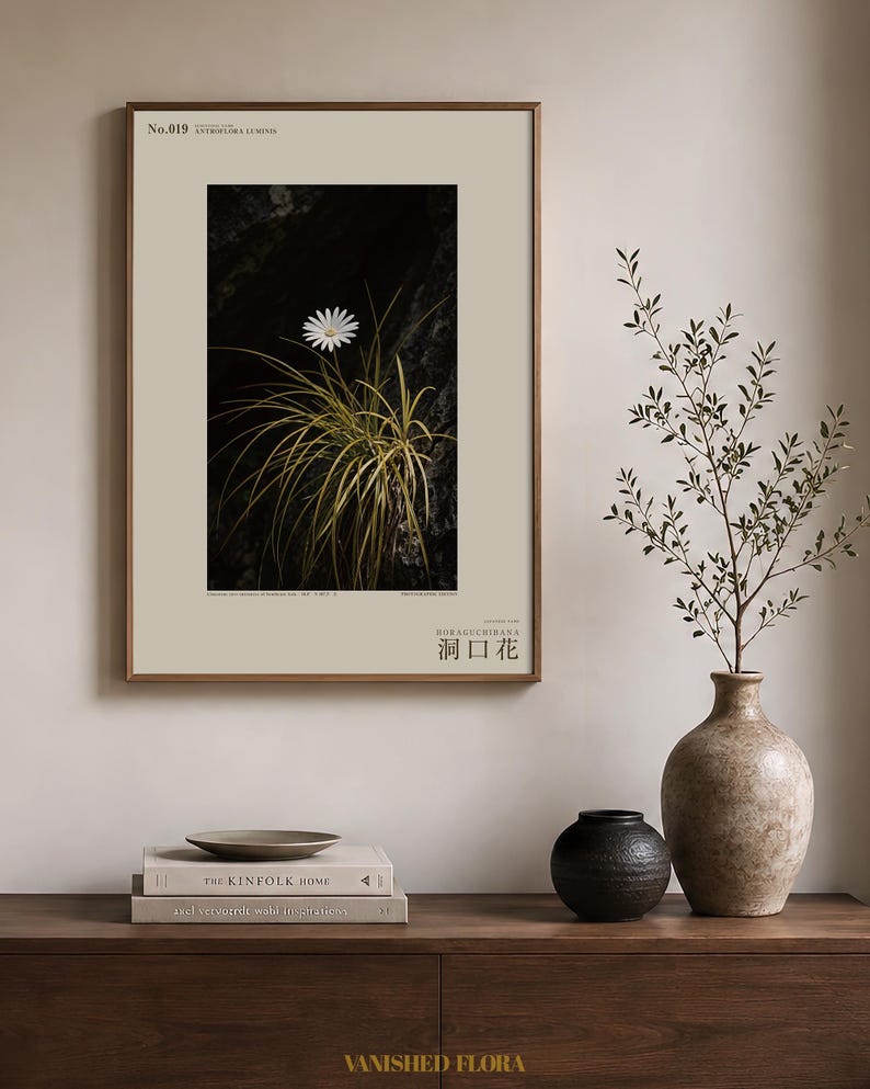 Cave-mouth Bloom Specimen Print – Antroflora luminis, Moody Nature Photography (Digital Download) image 3