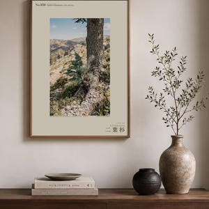Two-form Cedar Print – Cedrus bimorpha atlasiana, Moody Nature Photography (Digital Download) image 3